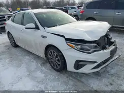 5XXGT4L32KG376624 2019 KIA OPTIMA