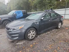 5XXGT4L33GG023736 2016 KIA OPTIMA