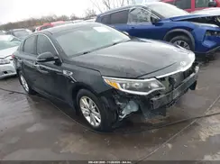 5XXGT4L33GG034624 2016 KIA OPTIMA