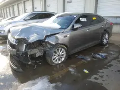 5XXGT4L33GG045459 2016 KIA OPTIMA