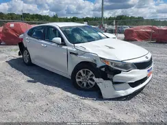 5XXGT4L33GG049544 2016 KIA OPTIMA