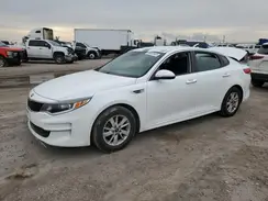 5XXGT4L33GG056316 2016 KIA OPTIMA