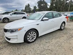 5XXGT4L33GG059183 2016 KIA OPTIMA