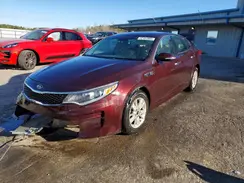 5XXGT4L33GG067607 2016 KIA OPTIMA