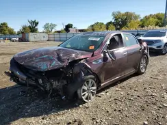 5XXGT4L33GG073682 2016 KIA OPTIMA