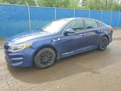 5XXGT4L33GG080647 2016 KIA OPTIMA