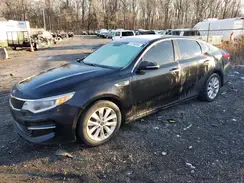 5XXGT4L33GG083175 2016 KIA OPTIMA