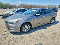 5XXGT4L33GG102887 2016 KIA OPTIMA