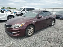 5XXGT4L33HG126561 2017 KIA OPTIMA