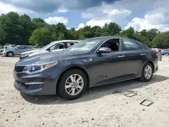 5XXGT4L33HG160029 2017 KIA OPTIMA