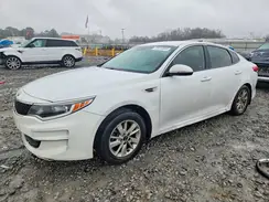 5XXGT4L33HG166803 2017 KIA OPTIMA