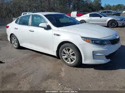 5XXGT4L33HG166901 2017 KIA OPTIMA