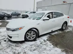 5XXGT4L33HG168017 2017 KIA OPTIMA