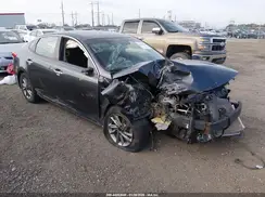 5XXGT4L33KG297799 2019 KIA OPTIMA