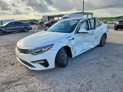 5XXGT4L33KG300555 2019 KIA OPTIMA