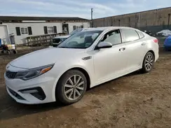 5XXGT4L33KG350503 2019 KIA OPTIMA