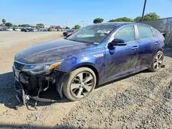5XXGT4L33KG358892 2019 KIA OPTIMA