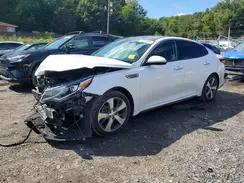 5XXGT4L33KG374655 2019 KIA OPTIMA