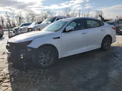 5XXGT4L33LG444558 2020 KIA OPTIMA