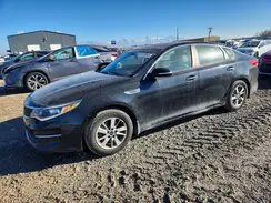 5XXGT4L34GG037418 2016 KIA OPTIMA