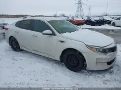 5XXGT4L34GG054106 2016 KIA OPTIMA
