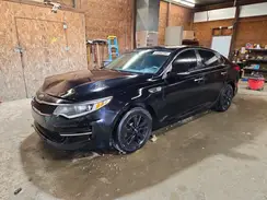 5XXGT4L34GG104339 2016 KIA OPTIMA