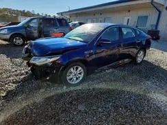 5XXGT4L34KG281126 2019 KIA OPTIMA