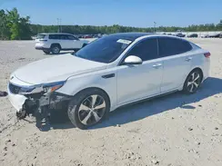 5XXGT4L34KG302461 2019 KIA OPTIMA