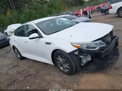 5XXGT4L34KG339428 2019 KIA OPTIMA