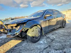 5XXGT4L34LG411987 2020 KIA OPTIMA