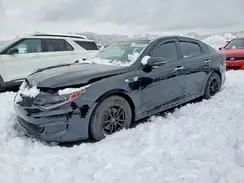 5XXGT4L35GG032129 2016 KIA OPTIMA