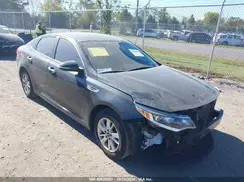 5XXGT4L35GG080312 2016 KIA OPTIMA