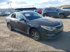 5XXGT4L35GG100459 2016 KIA OPTIMA