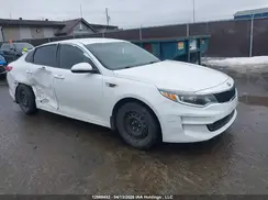 5XXGT4L35HG146620 2017 KIA OPTIMA