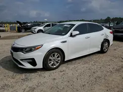 5XXGT4L35KG277022 2019 KIA OPTIMA