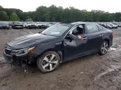 5XXGT4L35KG286979 2019 KIA OPTIMA