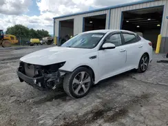 5XXGT4L35KG327658 2019 KIA OPTIMA
