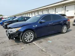 5XXGT4L36GG014562 2016 KIA OPTIMA