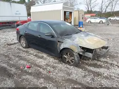 5XXGT4L36GG043141 2016 KIA OPTIMA