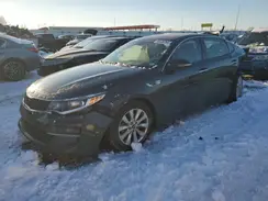 5XXGT4L36GG060036 2016 KIA OPTIMA