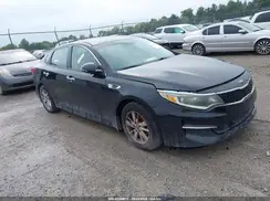 5XXGT4L36GG106092 2016 KIA OPTIMA