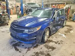 5XXGT4L36GG113365 2016 KIA OPTIMA
