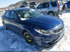 5XXGT4L36GG116198 2016 KIA OPTIMA