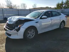5XXGT4L36HG146383 2017 KIA OPTIMA