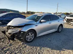 5XXGT4L36HG174443 2017 KIA OPTIMA