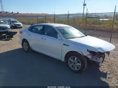 5XXGT4L36HG177004 2017 KIA OPTIMA