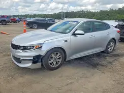 5XXGT4L36JG229009 2018 KIA OPTIMA