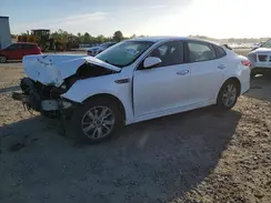 5XXGT4L36KG279555 2019 KIA OPTIMA