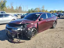 5XXGT4L36KG295450 2019 KIA OPTIMA