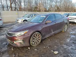 5XXGT4L36KG300243 2019 KIA OPTIMA